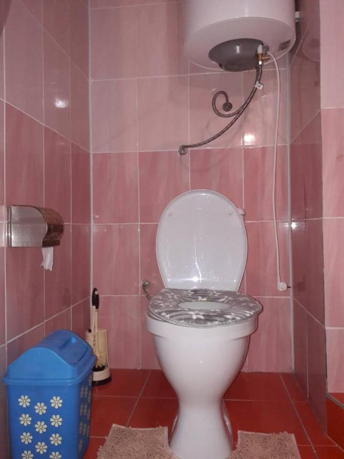 Kyzart Guesthouse Bagysh Екстериор снимка