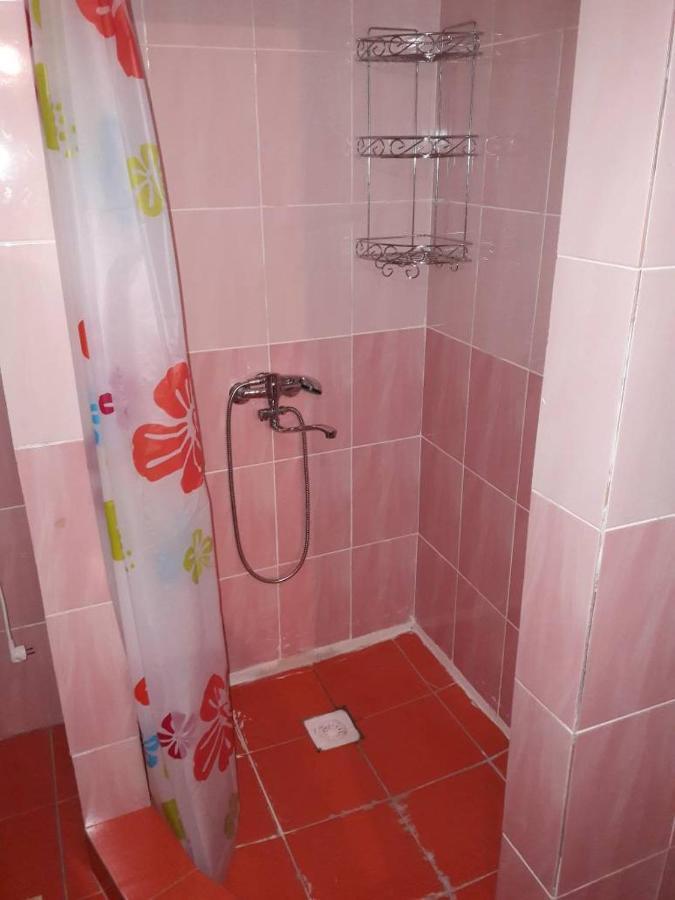Kyzart Guesthouse Bagysh Екстериор снимка